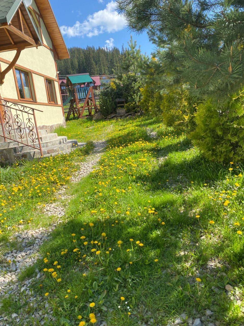 Chalet 888 Cottages Palyanytsya Exterior photo